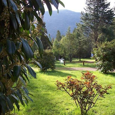 Cabanas Auquin Lemu Lago Puelo Exteriér fotografie
